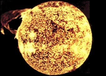 Sole