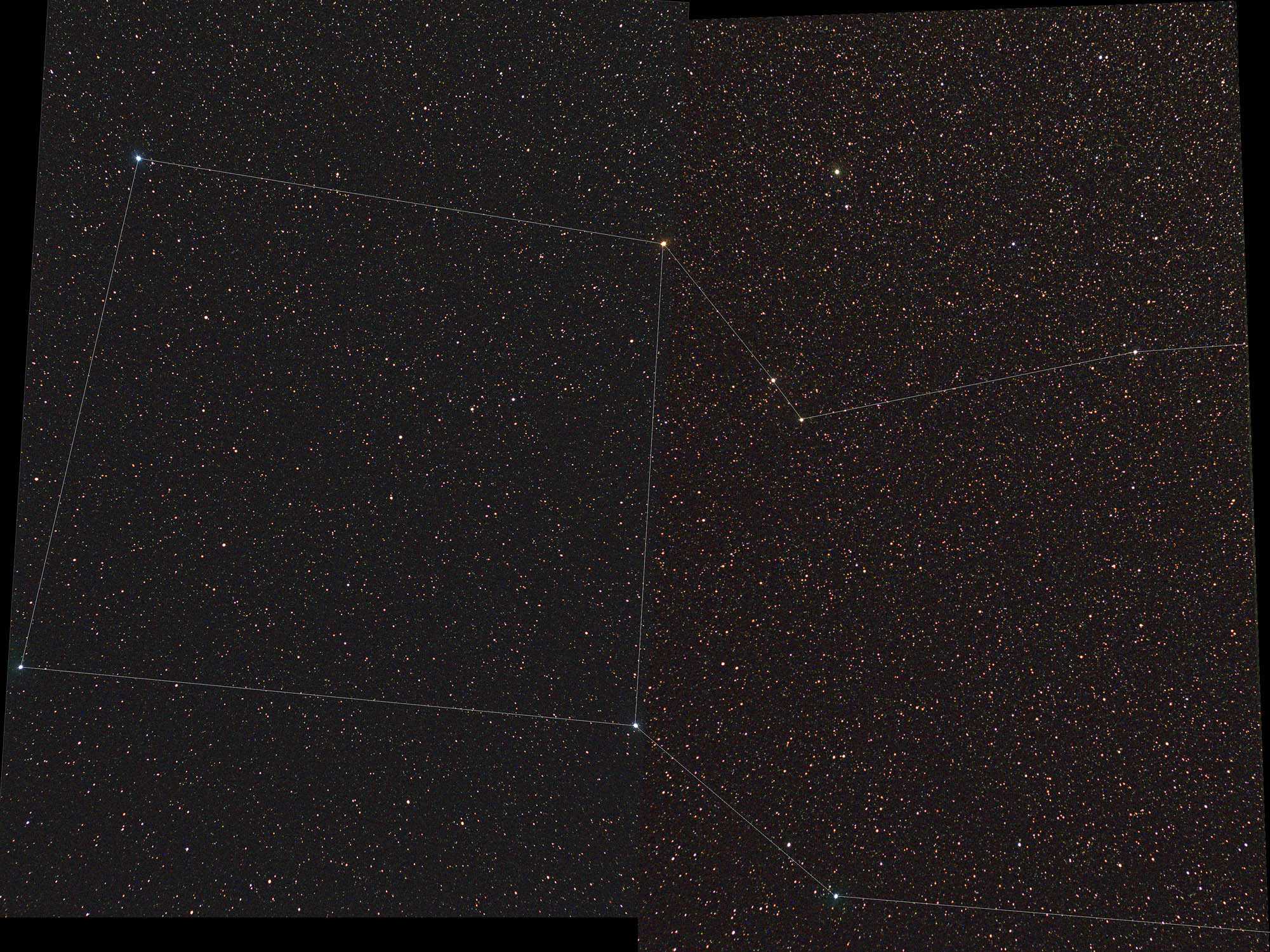 Pegasus constellation: 457 KB; click on the image to enlarge