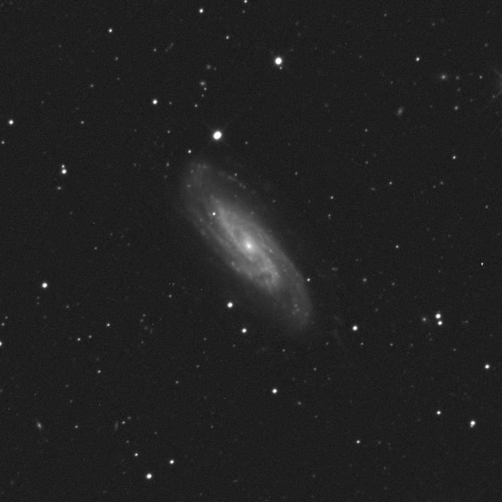 Galaxy NGC 3198: 51 KB; click on the image to enlarge at 1000 x 1000 pixels