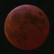 Matteo Chinellato; Half total eclipse; 23:20 UT: 39 KB