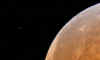 IMG_1331_particolare.jpg (63219 byte)