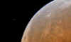 IMG_1333_particolare.jpg (61259 byte)