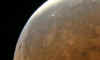 IMG_1339_particolare.jpg (72205 byte)