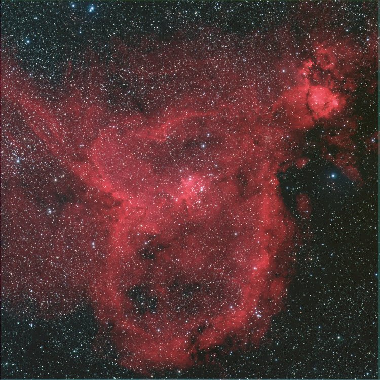 Nebulosa Cuore (IC 1805): 197 KB; click on the image to enlarge