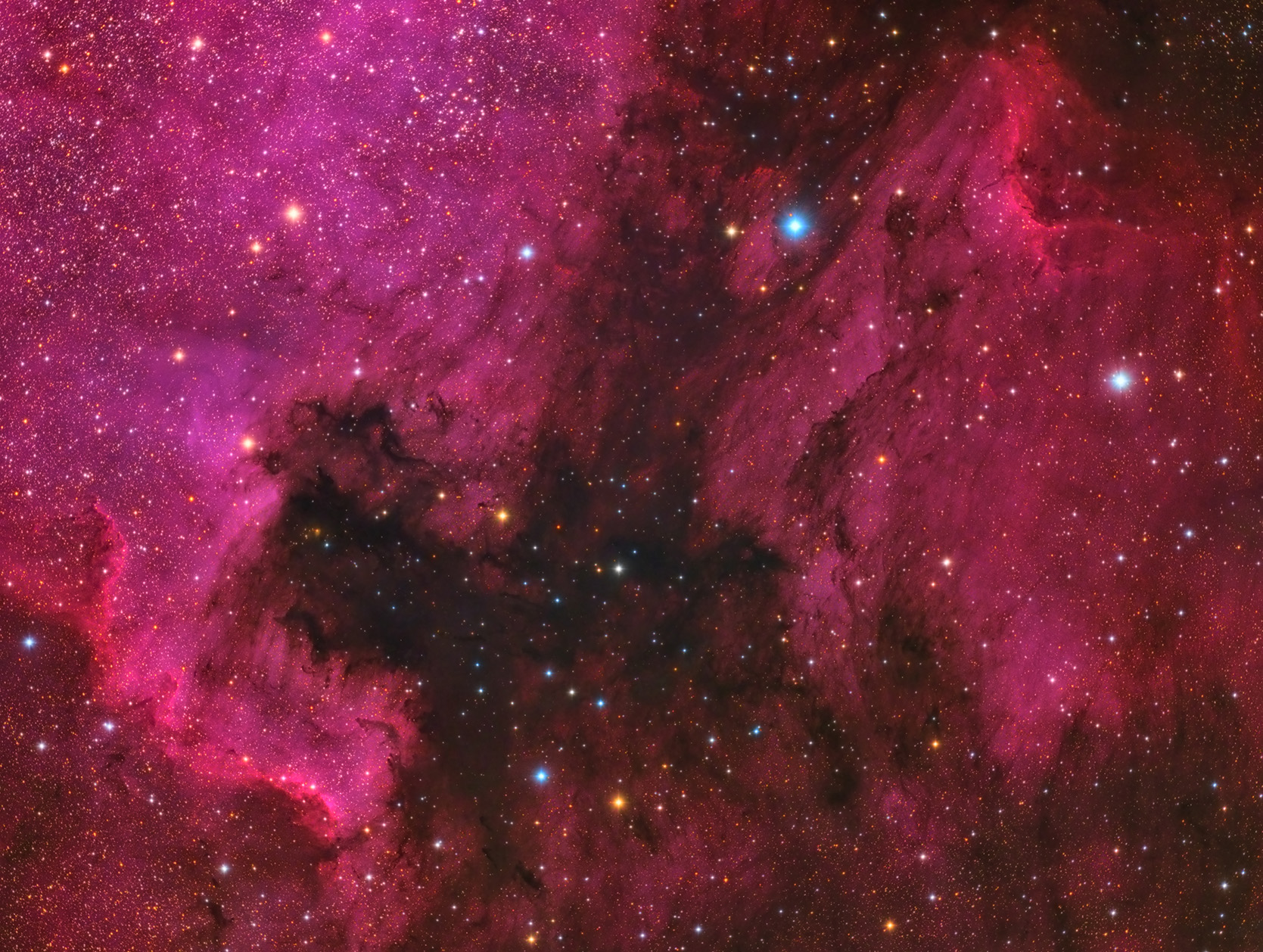 NGC 7000, IC 5070 and IC 5068 nebulae: 794 KB; click on the image to enlarge