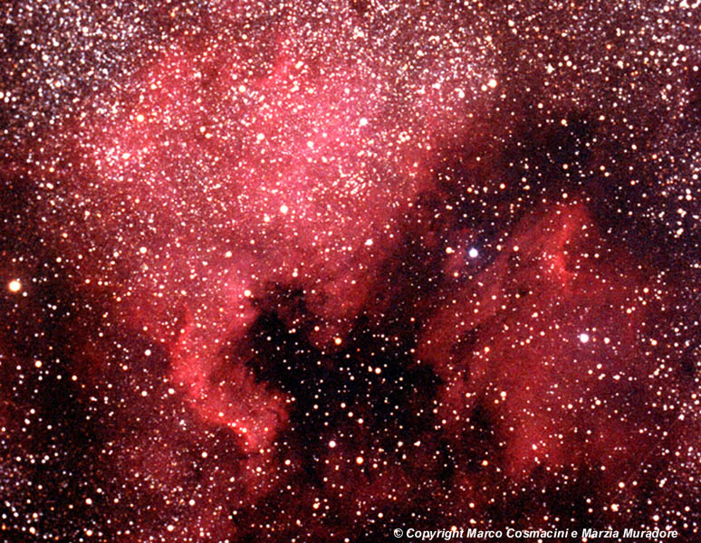 NGC 7000: 171 KB