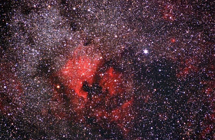 NGC 7000, IC 5070 and IC 5068 nebulae: 161 KB; click on the image to enlarge
