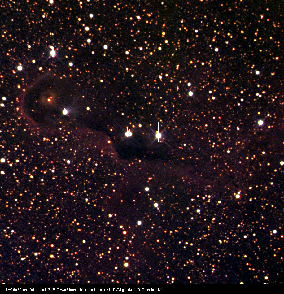 VdB 142 dark nebula: 228 KB; click on the image to enlarge