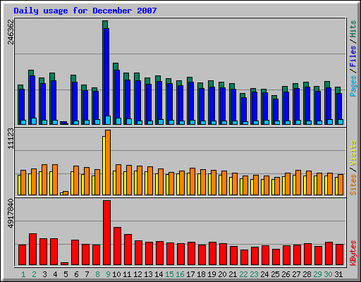 Daily usage for December 2007