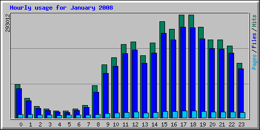 Hourly usage for January 2008